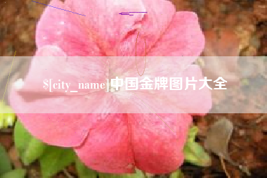 博兴中国金牌图片大全