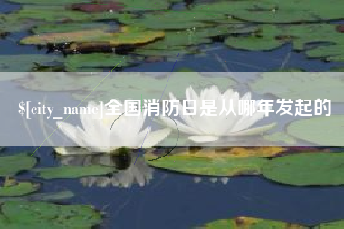 博兴全国消防日是从哪年发起的
