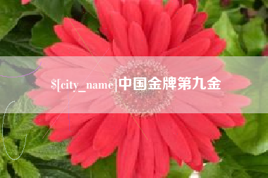博兴中国金牌第九金