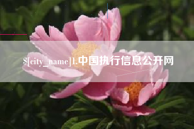 博兴1.中国执行信息公开网