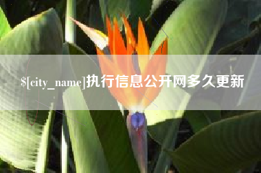 博兴执行信息公开网多久更新