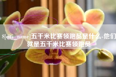 博兴五千米比赛领跑员是什么-他们就是五千米比赛领跑员