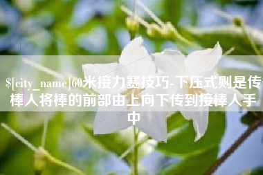 博兴60米接力赛技巧-下压式则是传棒人将棒的前部由上向下传到接棒人手中