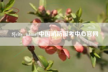 博兴中国消防报考中心官网