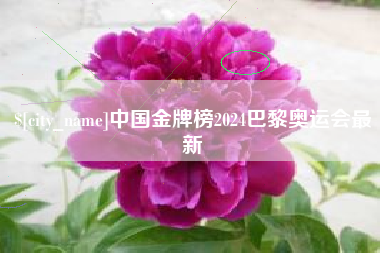 博兴中国金牌榜2024巴黎奥运会最新