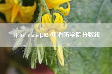 博兴2020年消防学院分数线