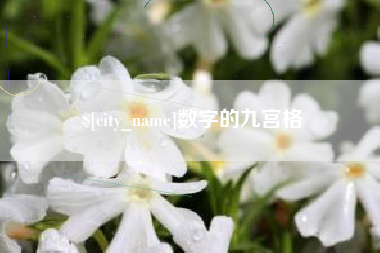 博兴数字的九宫格