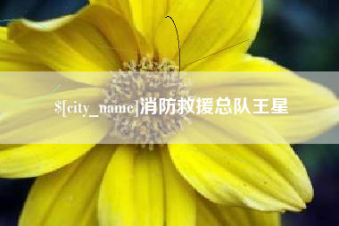 博兴消防救援总队王星