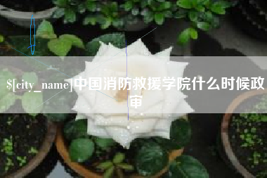 博兴中国消防救援学院什么时候政审
