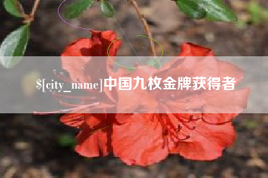 博兴中国九枚金牌获得者