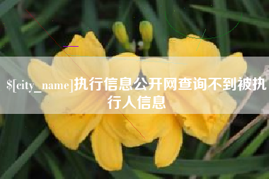 博兴执行信息公开网查询不到被执行人信息