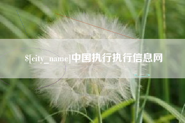 博兴中国执行执行信息网