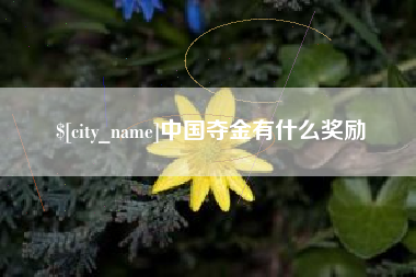 博兴中国夺金有什么奖励