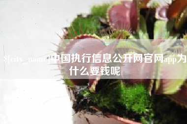 博兴中国执行信息公开网官网app为什么要钱呢