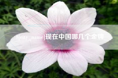 博兴现在中国哪几个金牌