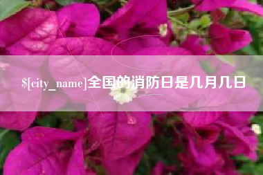 博兴全国的消防日是几月几日