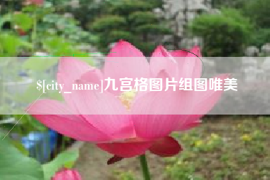 博兴九宫格图片组图唯美
