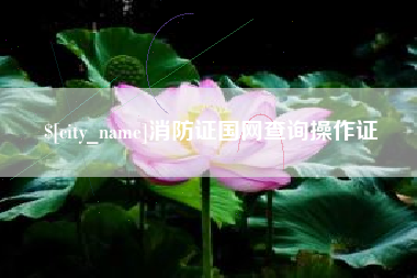 博兴消防证国网查询操作证