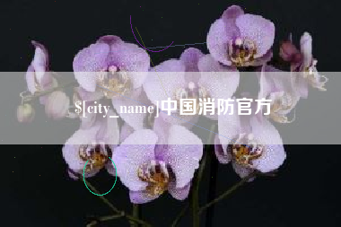 博兴中国消防官方