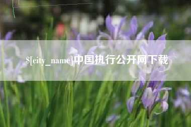 博兴中国执行公开网下载