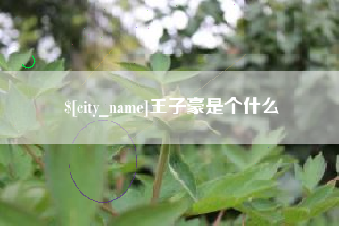 博兴王子豪是个什么