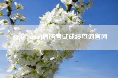 博兴消防考试成绩查询官网