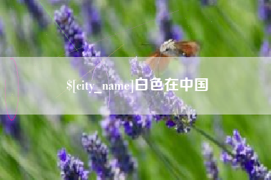 博兴白色在中国