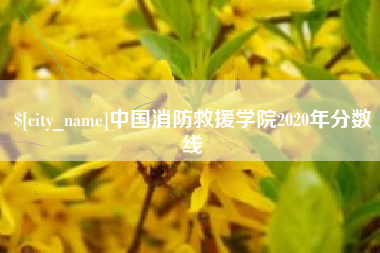 博兴中国消防救援学院2020年分数线