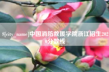博兴中国消防救援学院浙江招生2020分数线
