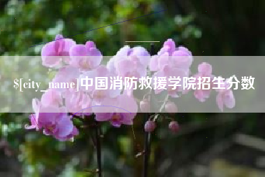 博兴中国消防救援学院招生分数