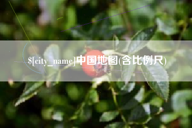 博兴中国地图(含比例尺)