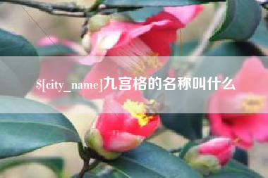 博兴九宫格的名称叫什么
