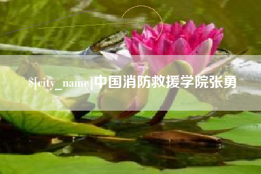 博兴中国消防救援学院张勇