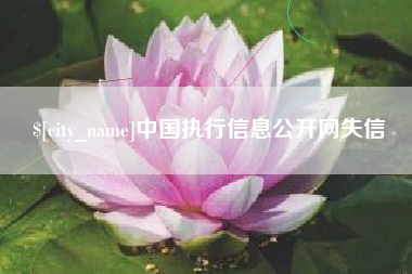 博兴中国执行信息公开网失信