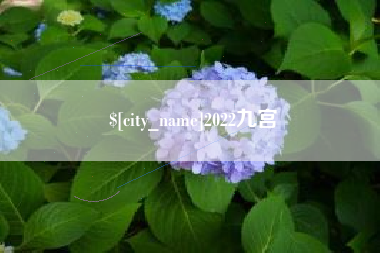 博兴2022九宫