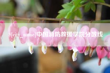 博兴中国消防救援学院分数线