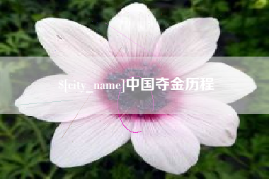 博兴中国夺金历程