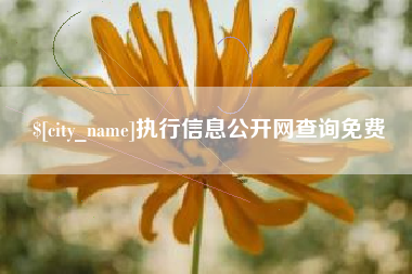 博兴执行信息公开网查询免费