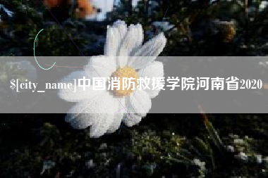 博兴中国消防救援学院河南省2020