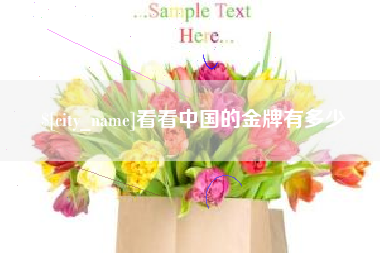 博兴看看中国的金牌有多少